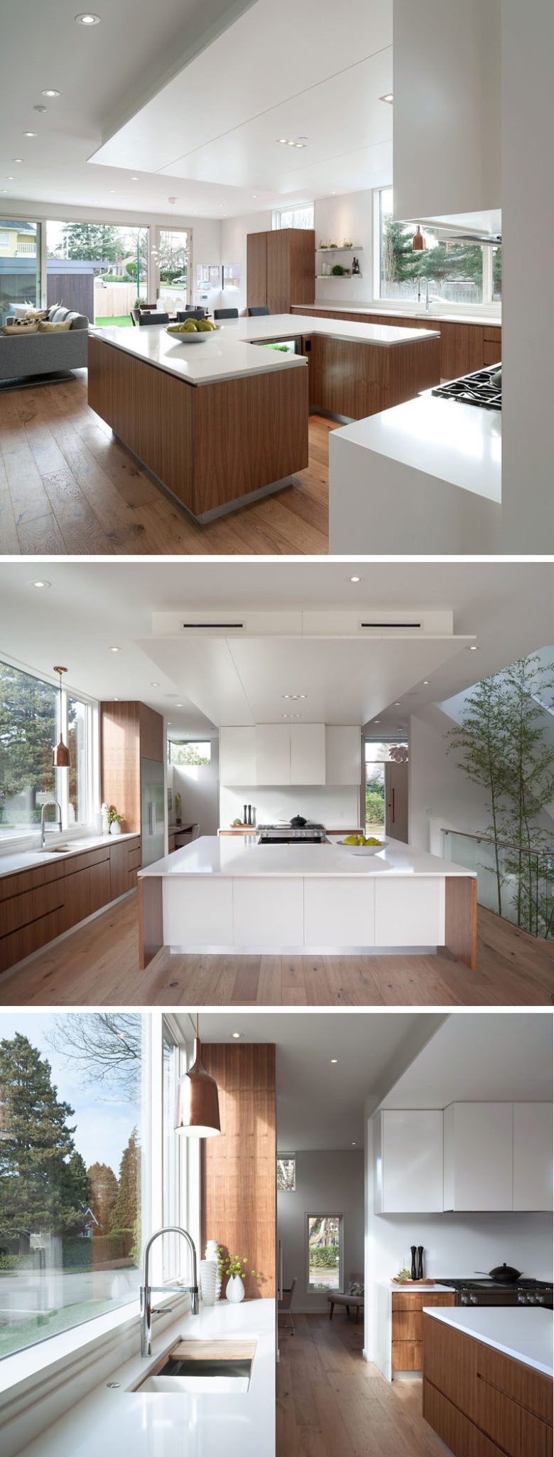 Vancouver Special Reimagined - The Macnabs Team