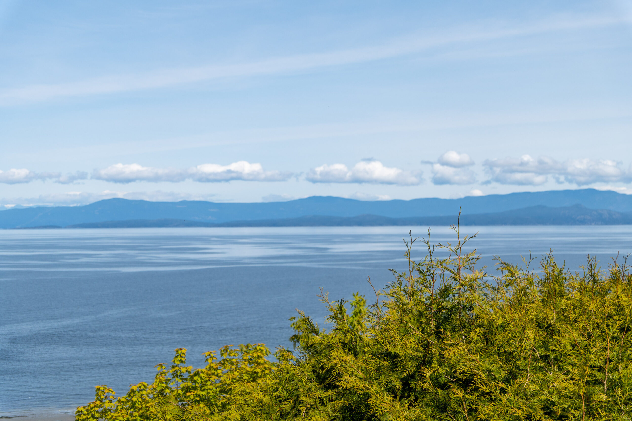 Crescent Rd W - 457 (Qualicum Beach) - Jordan Macnab - 33