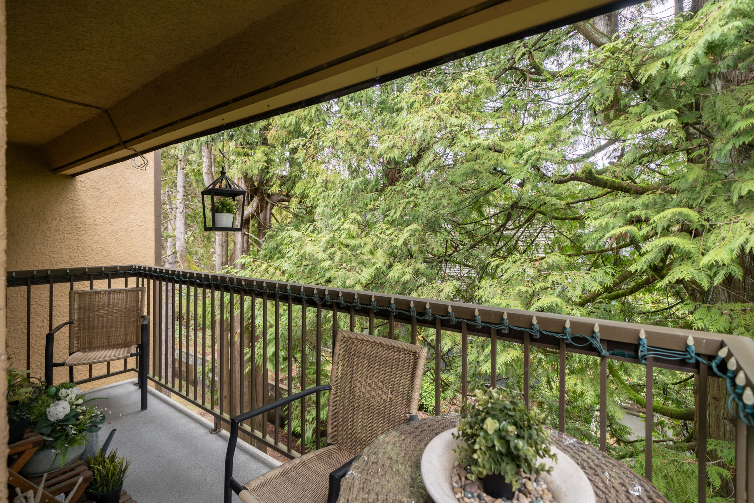 King Albert Ave - 1000 (301) (Coquitlam) - Jordan Macnab - 28