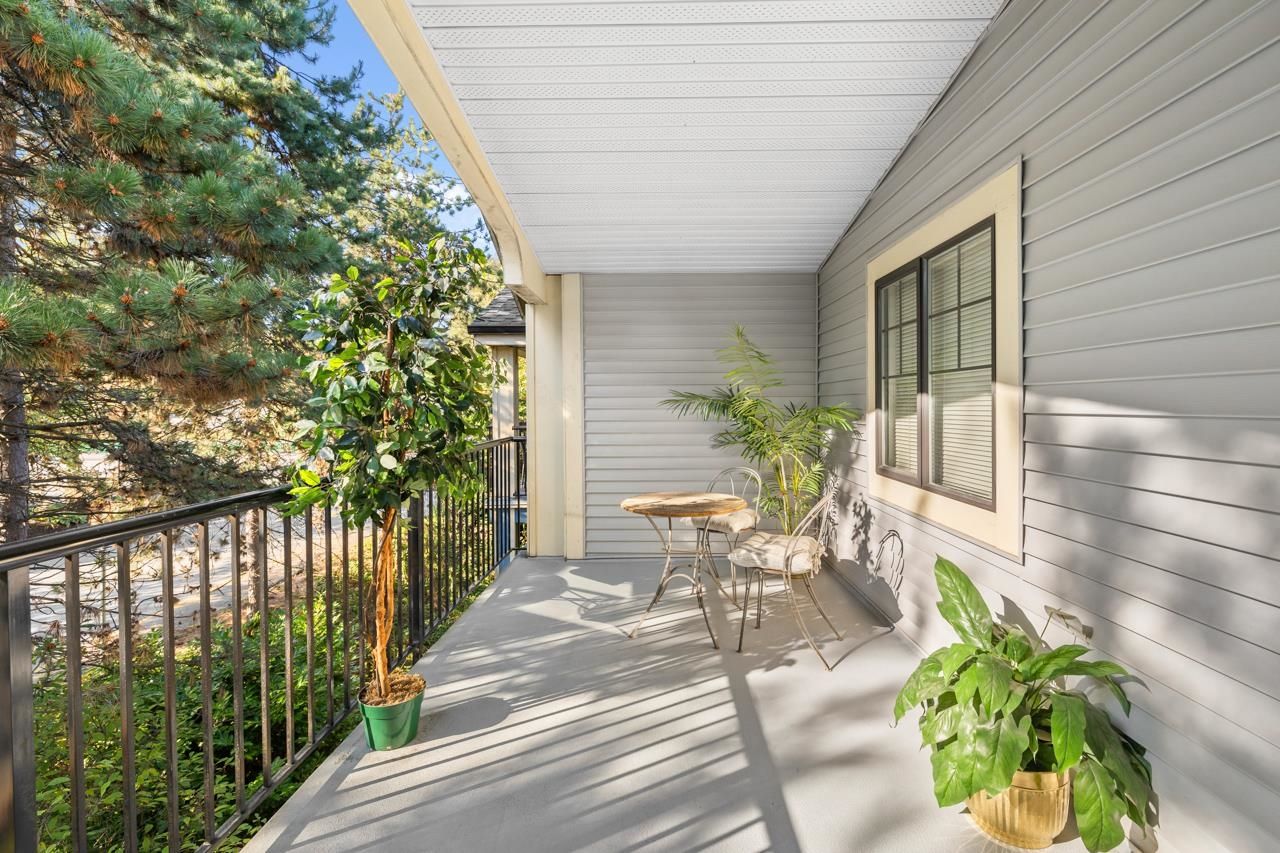 patio 2