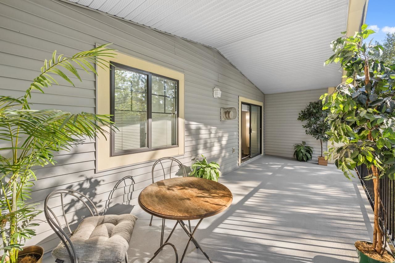 patio 3